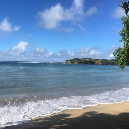 Studio Ana Martinique La Trinite Luaran gambar