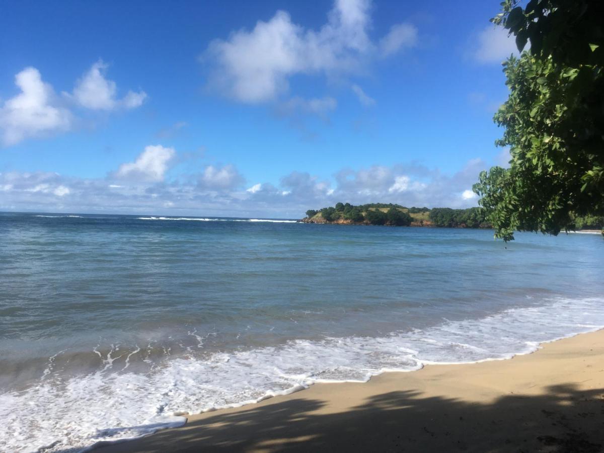 Studio Ana Martinique La Trinite Luaran gambar