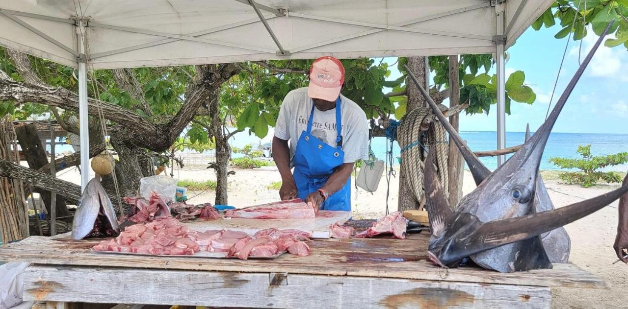 Studio Ana Martinique La Trinite Luaran gambar